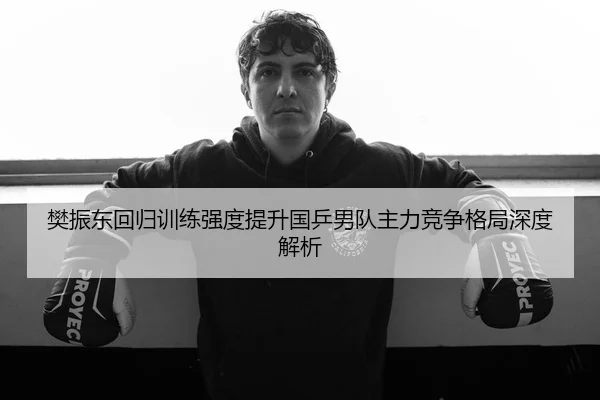 樊振东回归训练强度提升国乒男队主力竞争格局深度解析